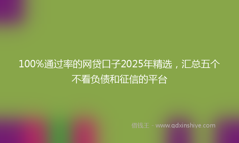 100%通过率的网贷口子2025年精选，汇总五个不看负债和征信的平台