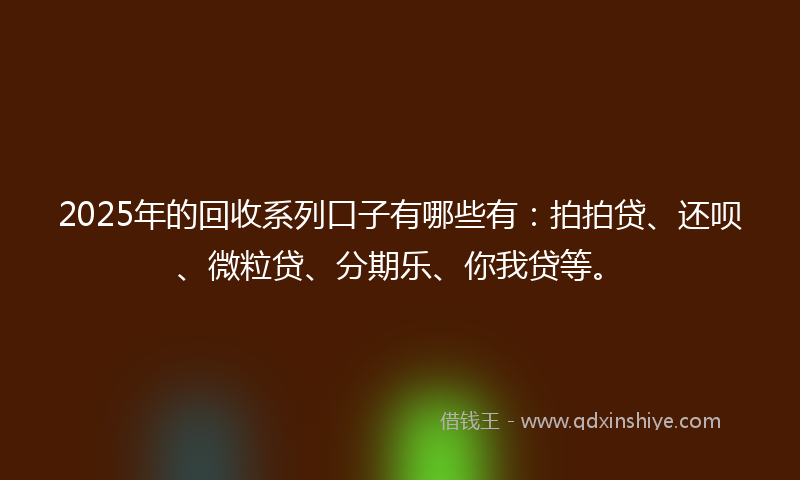 2025年的回收系列口子有哪些有：拍拍贷、还呗、微粒贷、分期乐、你我贷等。