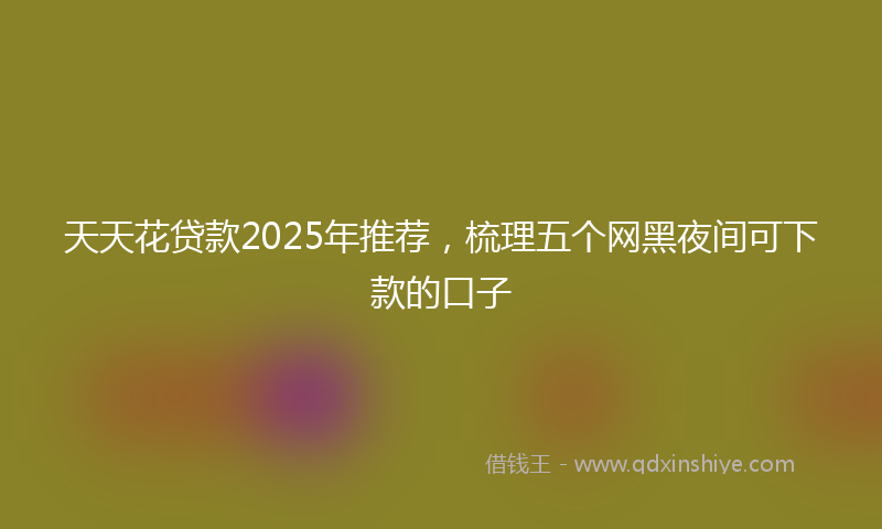 天天花贷款2025年推荐，梳理五个网黑夜间可下款的口子