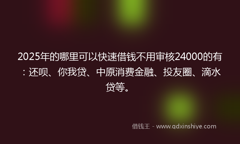 2025年的哪里可以快速借钱不用审核24000的有：还呗、你我贷、中原消费金融、投友圈、滴水贷等。