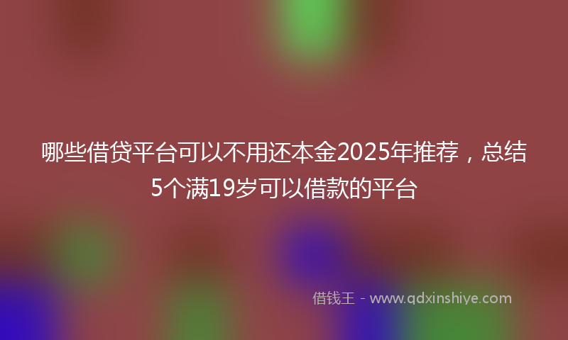 哪些借贷平台可以不用还本金2025年推荐，总结5个满19岁可以借款的平台