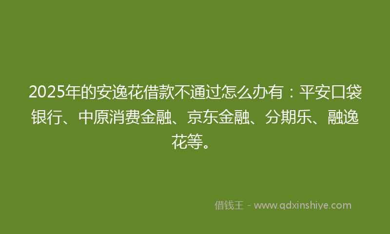 2025年的安逸花借款不通过怎么办有：平安口袋银行、中原消费金融、京东金融、分期乐、融逸花等。