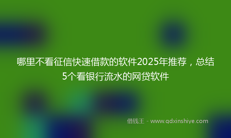 哪里不看征信快速借款的软件2025年推荐，总结5个看银行流水的网贷软件