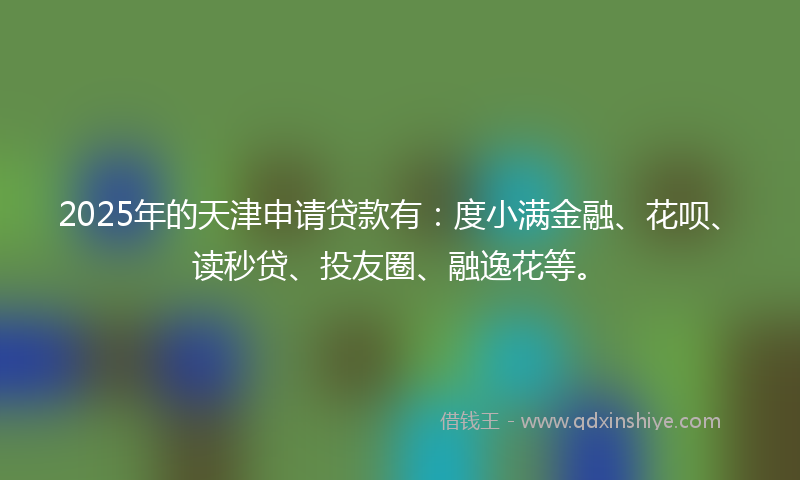 2025年的天津申请贷款有：度小满金融、花呗、读秒贷、投友圈、融逸花等。