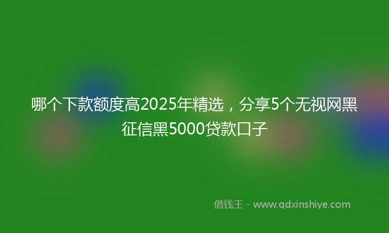 哪个下款额度高2025年精选，分享5个无视网黑征信黑5000贷款口子