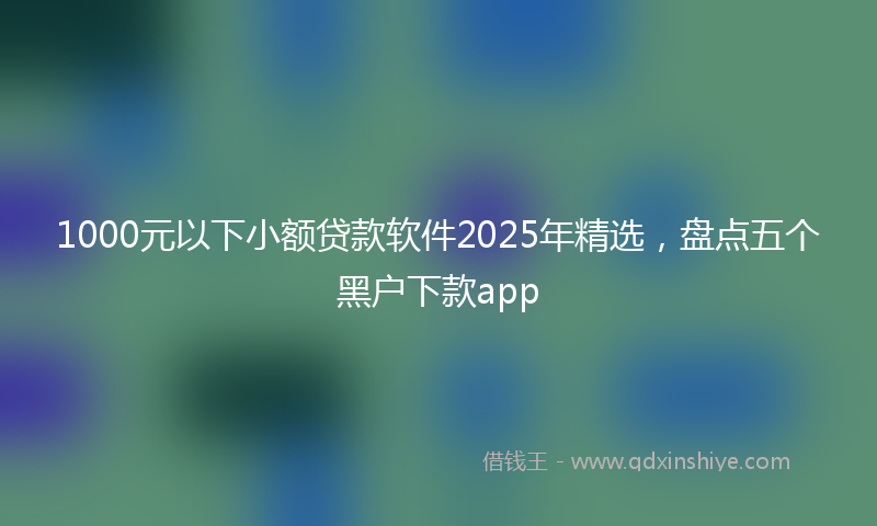 1000元以下小额贷款软件2025年精选，盘点五个黑户下款app