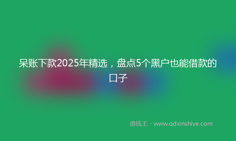 呆账下款2025年精选，盘点5个黑户也能借款的口子