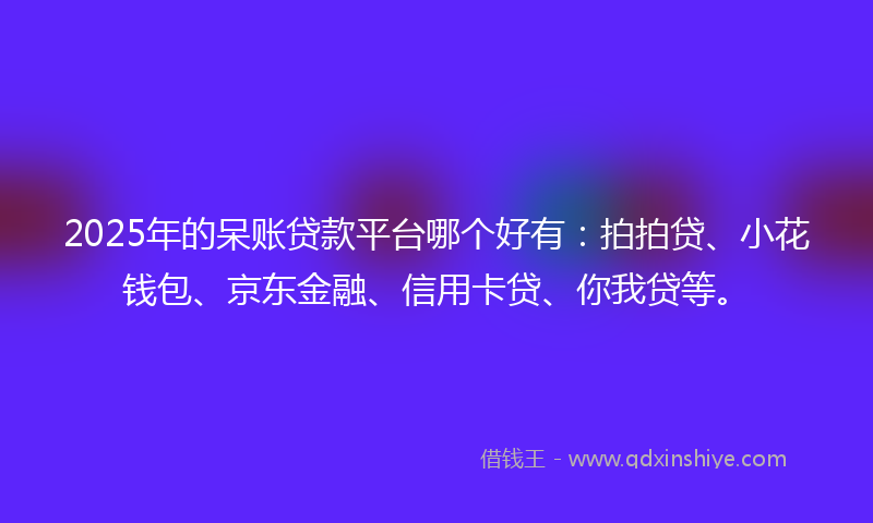 2025年的呆账贷款平台哪个好有：拍拍贷、小花钱包、京东金融、信用卡贷、你我贷等。