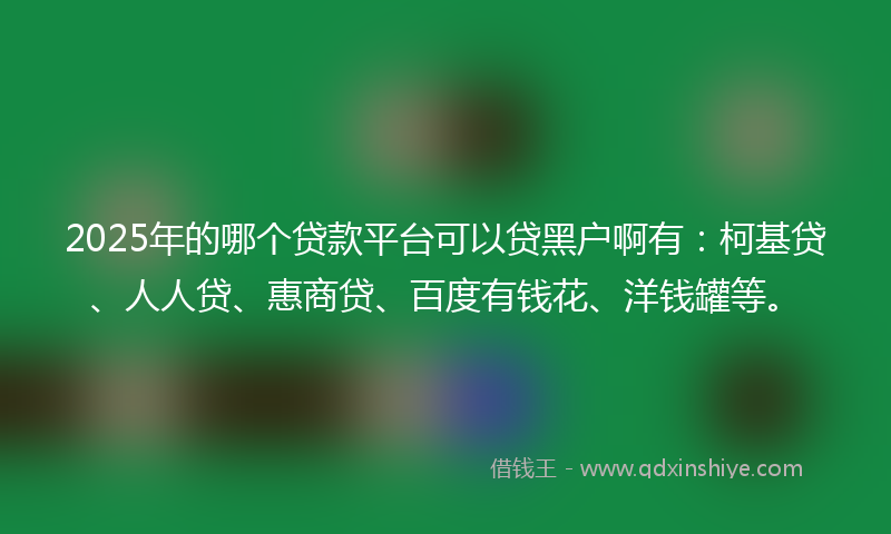 2025年的哪个贷款平台可以贷黑户啊有：柯基贷、人人贷、惠商贷、百度有钱花、洋钱罐等。