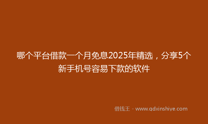 哪个平台借款一个月免息2025年精选，分享5个新手机号容易下款的软件
