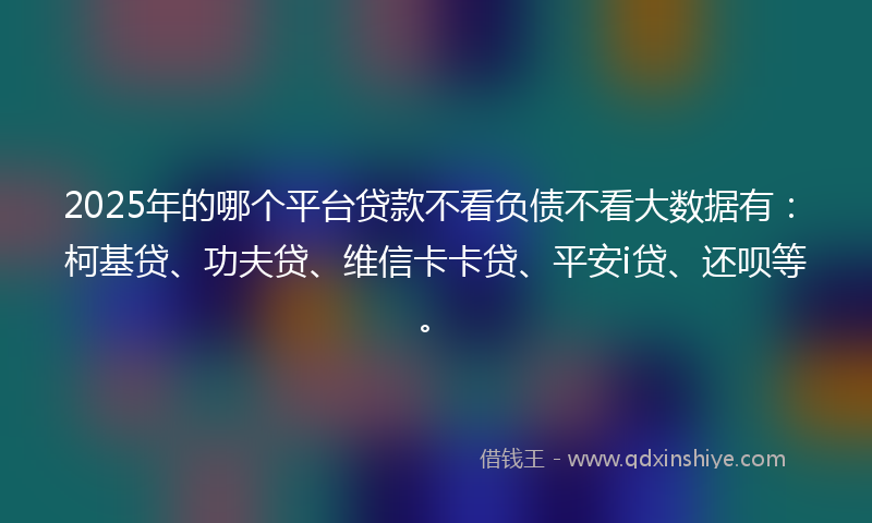 2025年的哪个平台贷款不看负债不看大数据有：柯基贷、功夫贷、维信卡卡贷、平安i贷、还呗等。