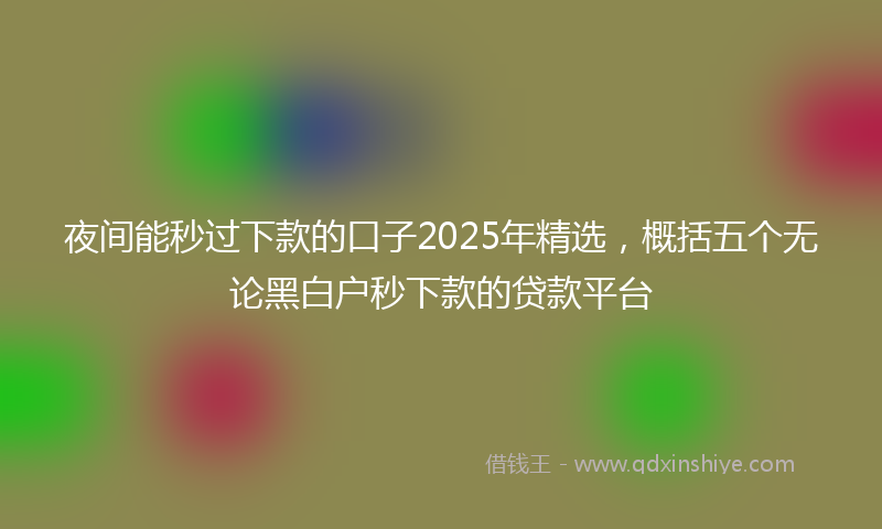 夜间能秒过下款的口子2025年精选，概括五个无论黑白户秒下款的贷款平台
