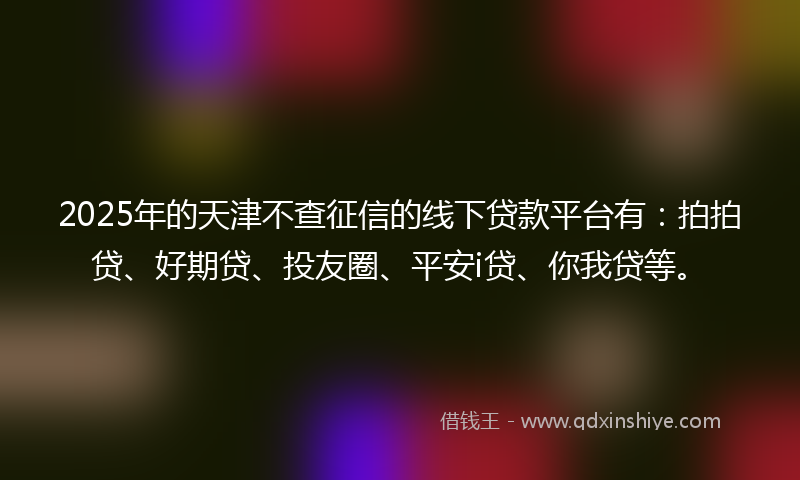 2025年的天津不查征信的线下贷款平台有：拍拍贷、好期贷、投友圈、平安i贷、你我贷等。