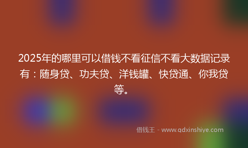 2025年的哪里可以借钱不看征信不看大数据记录有：随身贷、功夫贷、洋钱罐、快贷通、你我贷等。