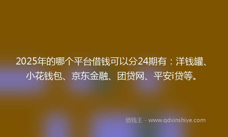 2025年的哪个平台借钱可以分24期有：洋钱罐、小花钱包、京东金融、团贷网、平安i贷等。