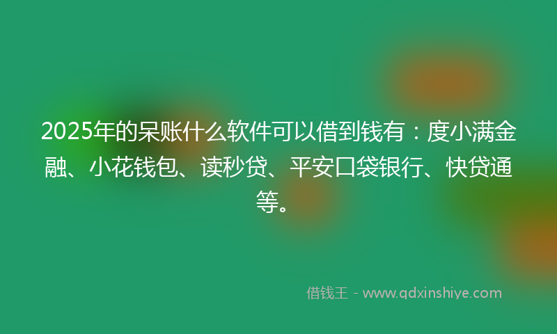 2025年的呆账什么软件可以借到钱有：度小满金融、小花钱包、读秒贷、平安口袋银行、快贷通等。