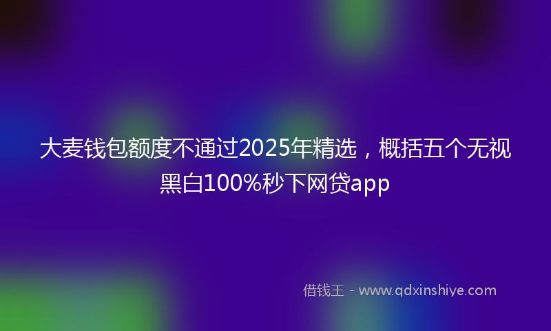 大麦钱包额度不通过2025年精选，概括五个无视黑白100%秒下网贷app