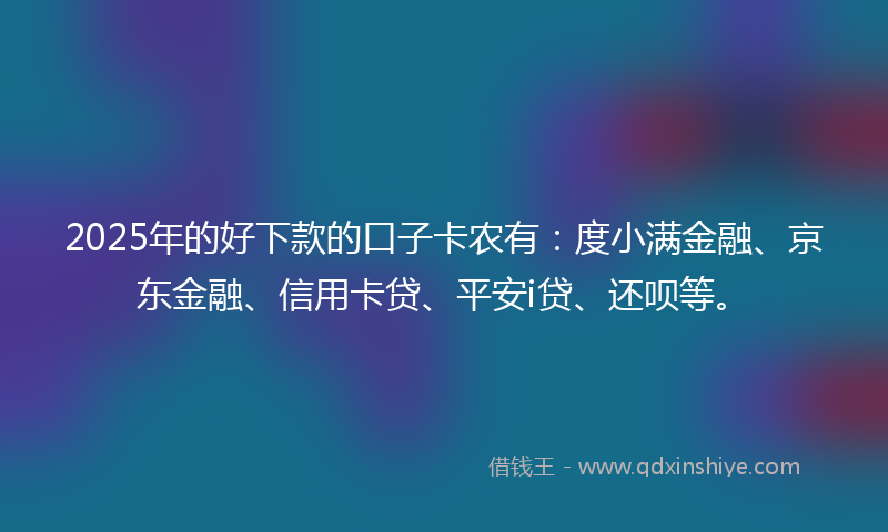 2025年的好下款的口子卡农有：度小满金融、京东金融、信用卡贷、平安i贷、还呗等。
