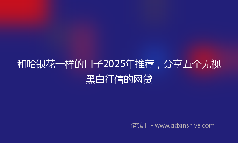 和哈银花一样的口子2025年推荐，分享五个无视黑白征信的网贷