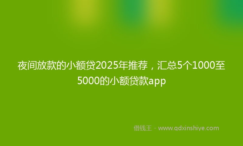 夜间放款的小额贷2025年推荐，汇总5个1000至5000的小额贷款app