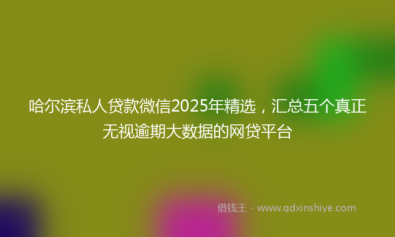 哈尔滨私人贷款微信2025年精选，汇总五个真正无视逾期大数据的网贷平台