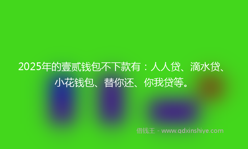 2025年的壹贰钱包不下款有：人人贷、滴水贷、小花钱包、替你还、你我贷等。