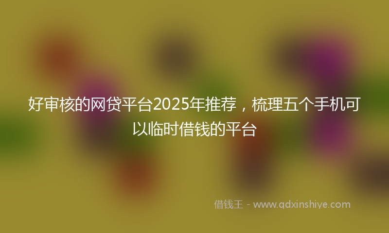 好审核的网贷平台2025年推荐，梳理五个手机可以临时借钱的平台
