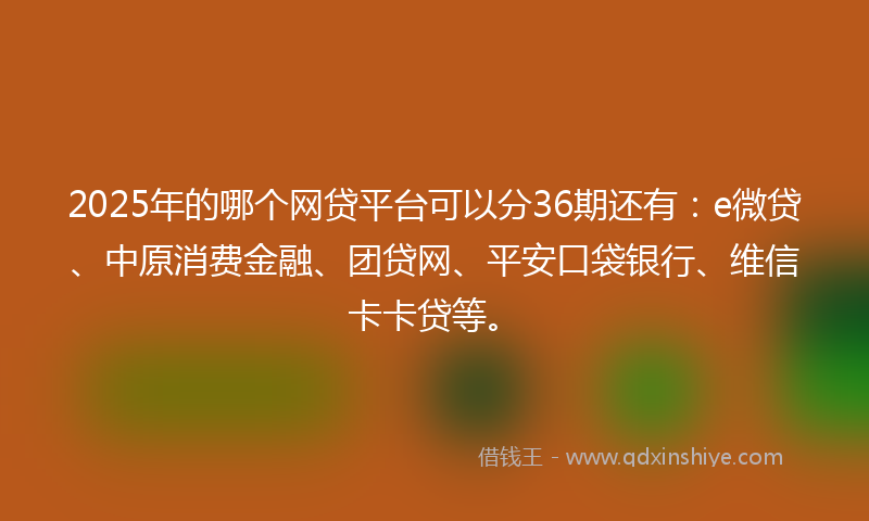 2025年的哪个网贷平台可以分36期还有：e微贷、中原消费金融、团贷网、平安口袋银行、维信卡卡贷等。
