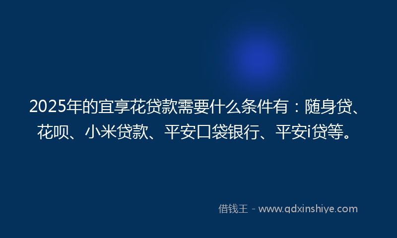 2025年的宜享花贷款需要什么条件有：随身贷、花呗、小米贷款、平安口袋银行、平安i贷等。