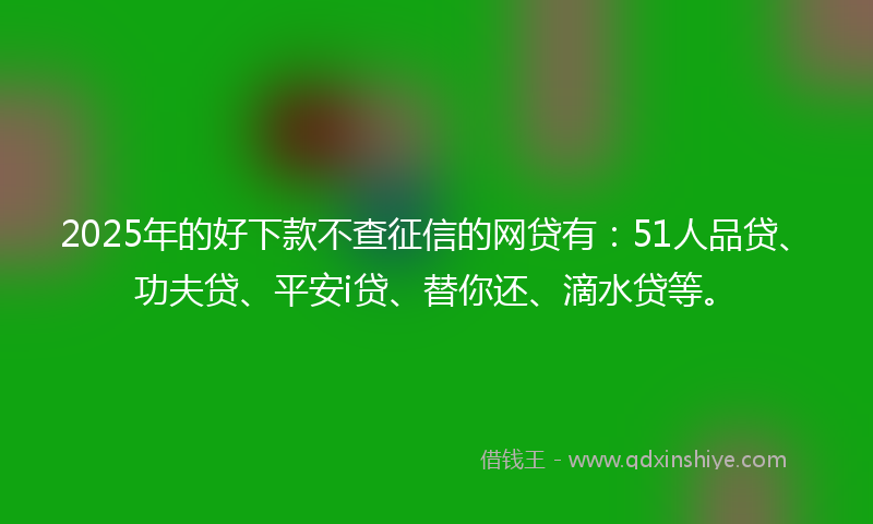 2025年的好下款不查征信的网贷有：51人品贷、功夫贷、平安i贷、替你还、滴水贷等。