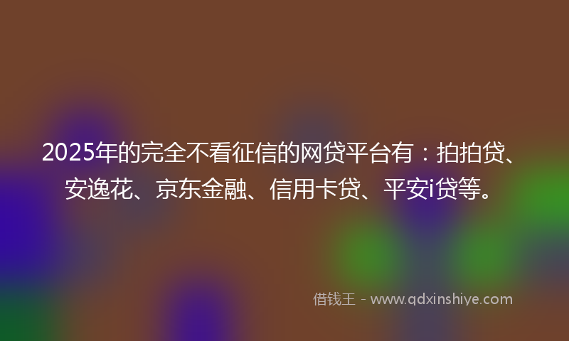 2025年的完全不看征信的网贷平台有：拍拍贷、安逸花、京东金融、信用卡贷、平安i贷等。