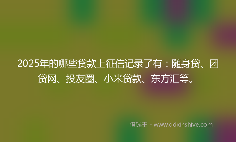 2025年的哪些贷款上征信记录了有：随身贷、团贷网、投友圈、小米贷款、东方汇等。