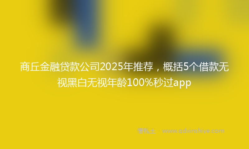 商丘金融贷款公司2025年推荐，概括5个借款无视黑白无视年龄100%秒过app