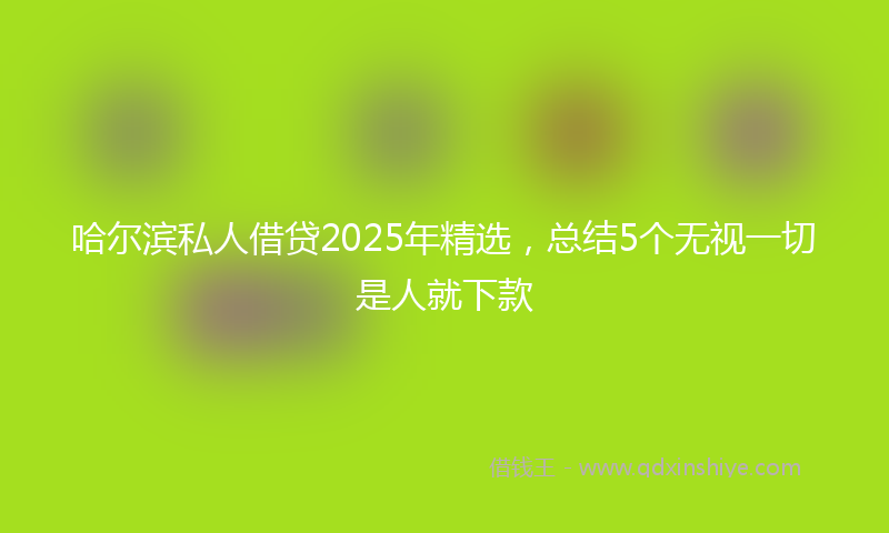 哈尔滨私人借贷2025年精选，总结5个无视一切是人就下款