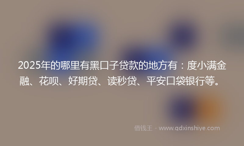 2025年的哪里有黑口子贷款的地方有：度小满金融、花呗、好期贷、读秒贷、平安口袋银行等。