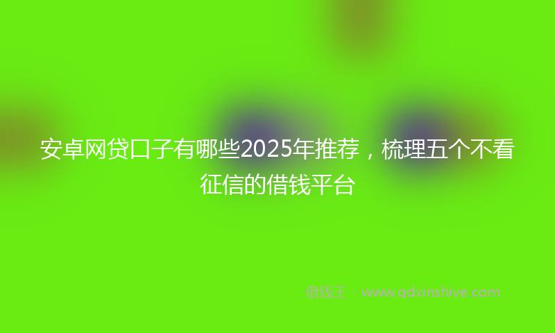 安卓网贷口子有哪些2025年推荐，梳理五个不看征信的借钱平台