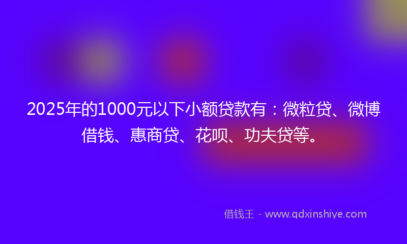 2025年的1000元以下小额贷款有：微粒贷、微博借钱、惠商贷、花呗、功夫贷等。