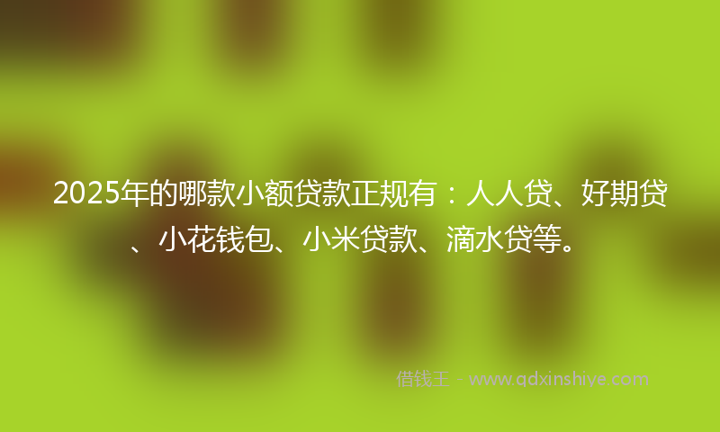 2025年的哪款小额贷款正规有：人人贷、好期贷、小花钱包、小米贷款、滴水贷等。