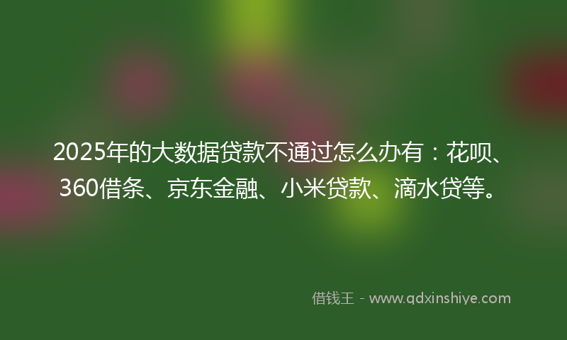 2025年的大数据贷款不通过怎么办有：花呗、360借条、京东金融、小米贷款、滴水贷等。