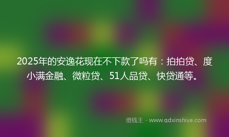 2025年的安逸花现在不下款了吗有：拍拍贷、度小满金融、微粒贷、51人品贷、快贷通等。