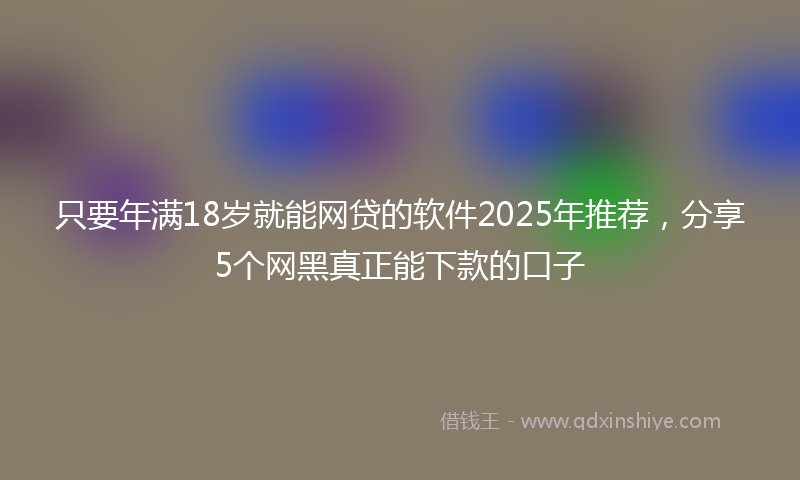 只要年满18岁就能网贷的软件2025年推荐，分享5个网黑真正能下款的口子