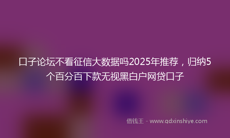 口子论坛不看征信大数据吗2025年推荐，归纳5个百分百下款无视黑白户网贷口子