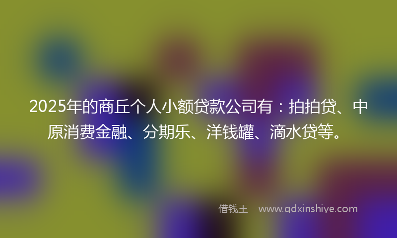 2025年的商丘个人小额贷款公司有：拍拍贷、中原消费金融、分期乐、洋钱罐、滴水贷等。