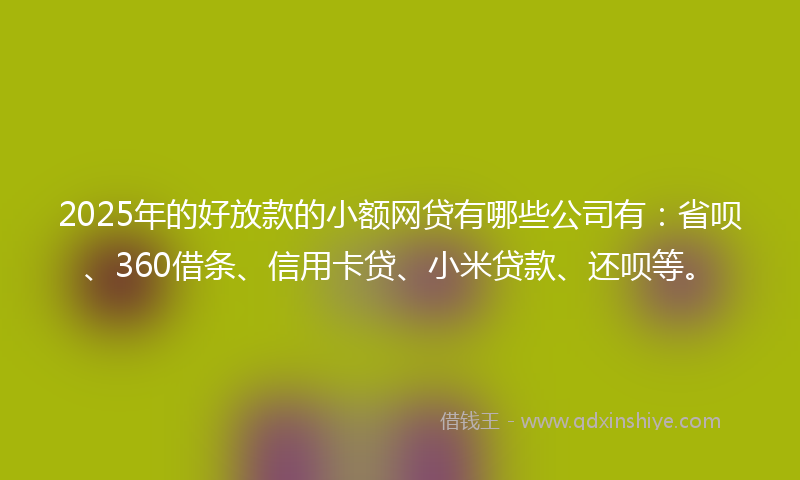 2025年的好放款的小额网贷有哪些公司有：省呗、360借条、信用卡贷、小米贷款、还呗等。