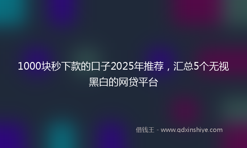 1000块秒下款的口子2025年推荐，汇总5个无视黑白的网贷平台