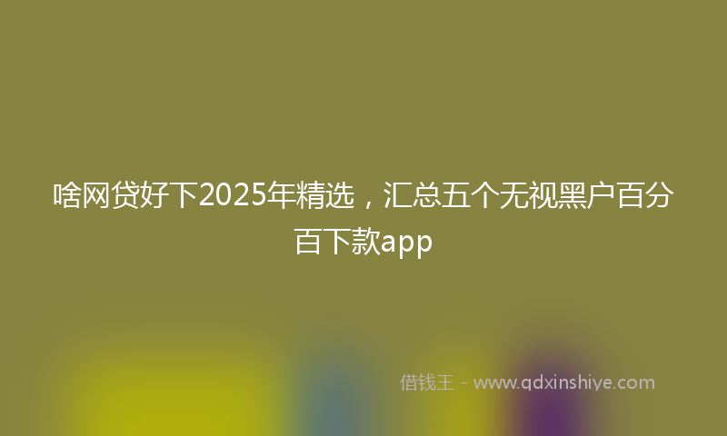 啥网贷好下2025年精选，汇总五个无视黑户百分百下款app