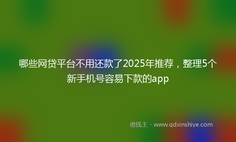 哪些网贷平台不用还款了2025年推荐，整理5个新手机号容易下款的app