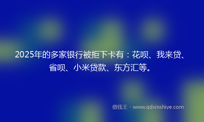 2025年的多家银行被拒下卡有：花呗、我来贷、省呗、小米贷款、东方汇等。