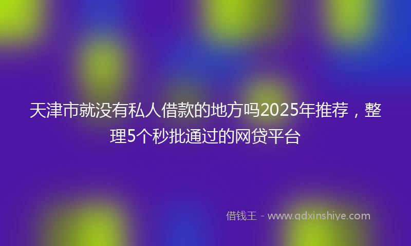 天津市就没有私人借款的地方吗2025年推荐，整理5个秒批通过的网贷平台