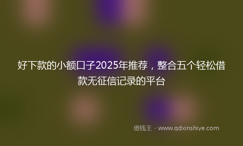 好下款的小额口子2025年推荐，整合五个轻松借款无征信记录的平台
